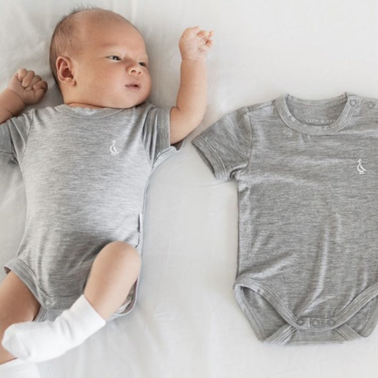 Value Bundle | RAPH&REMY®