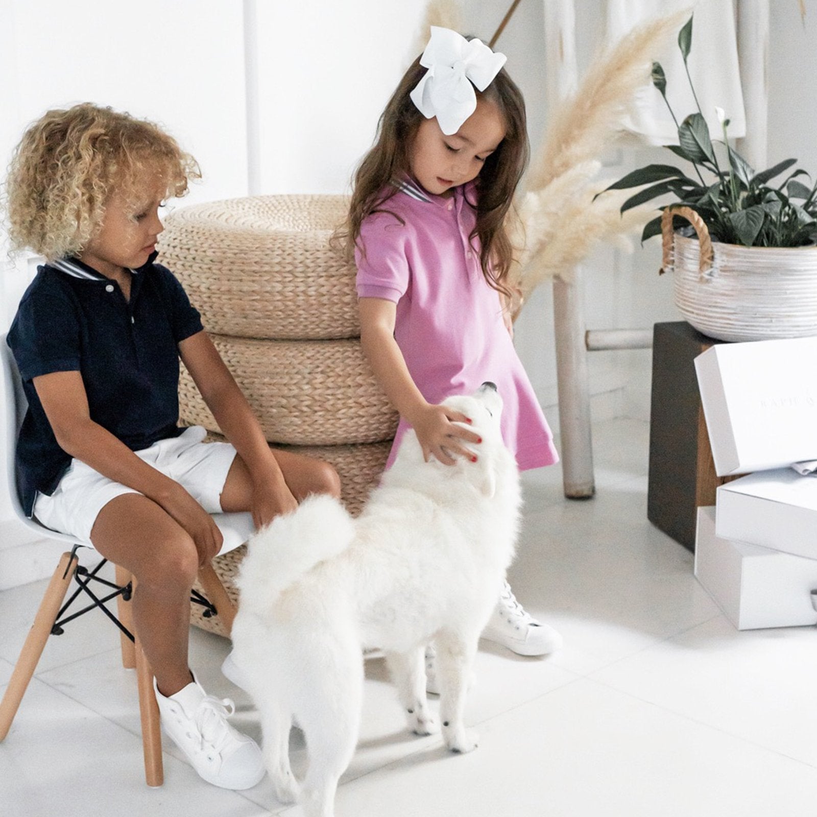 Premium Collared Dresses | 2-5 years - Bundle Deal