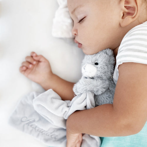 Timeless Teddy Security Blanket