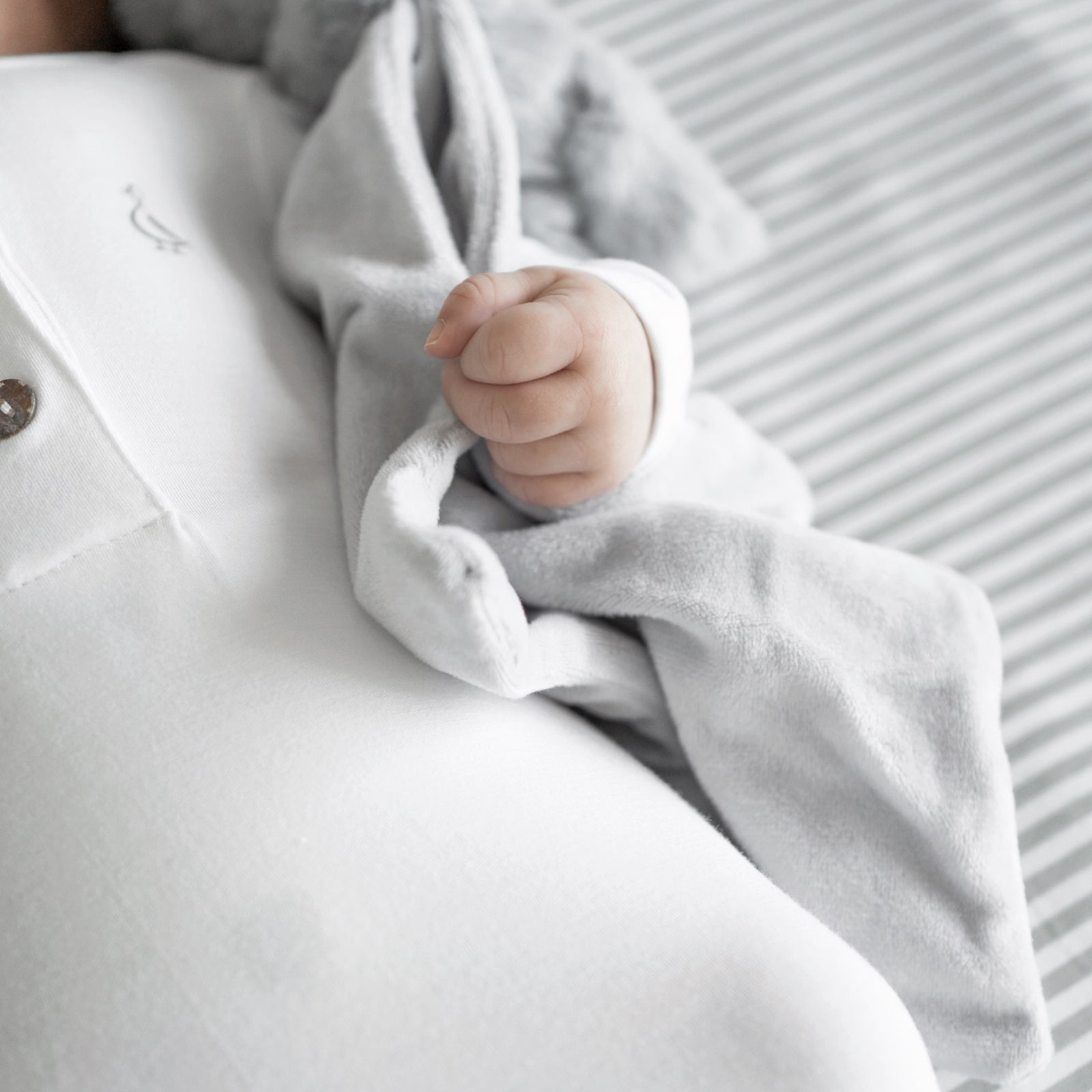 Bamboo Blossom Starter Set