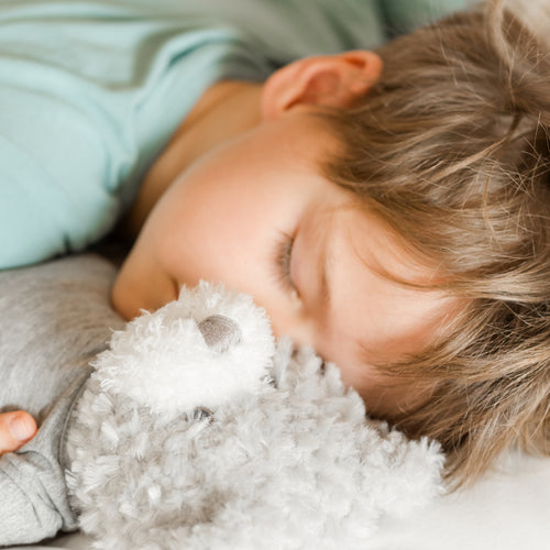 RAPH&REMY Timeless Teddy