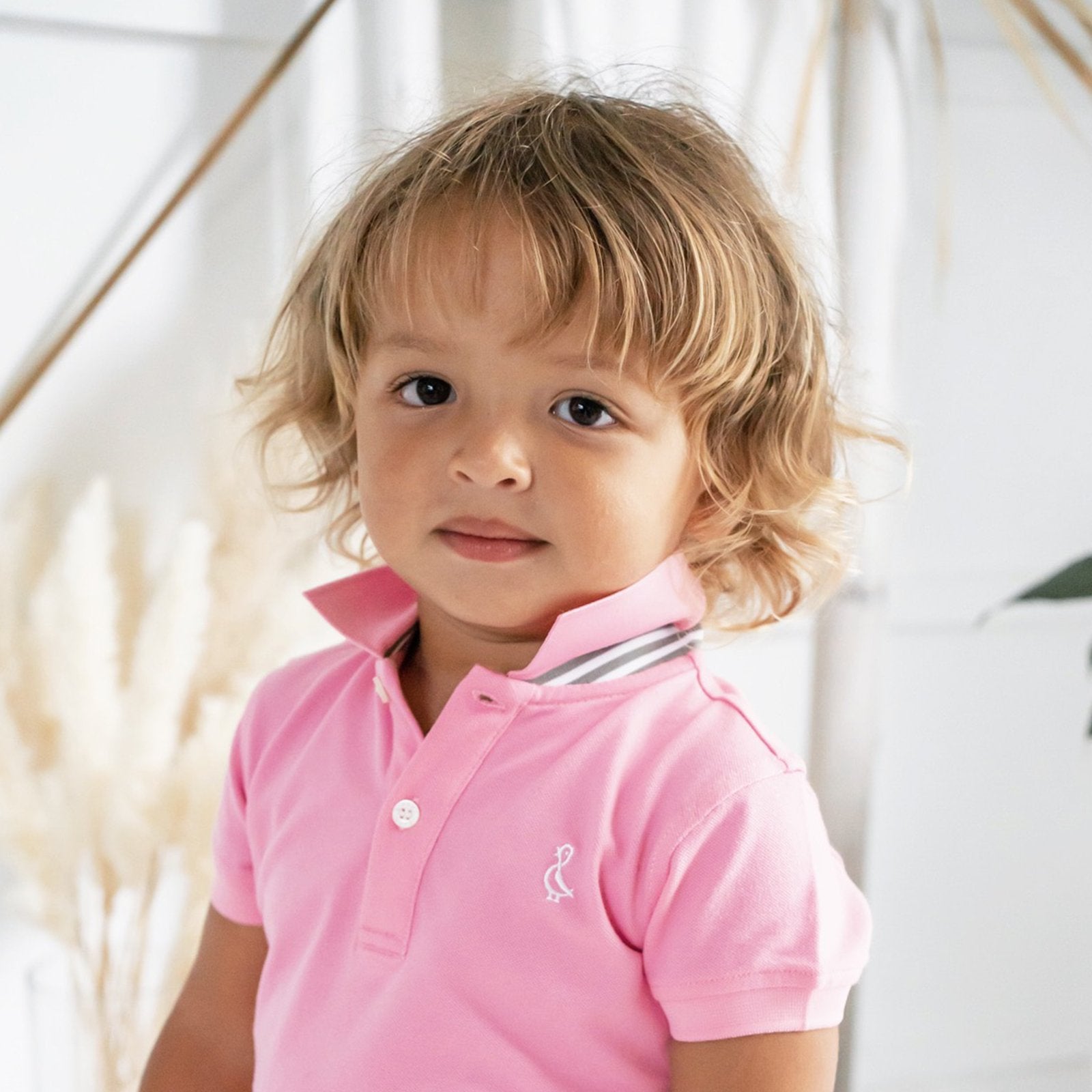 Premium Collared Shirts | 2-5 years