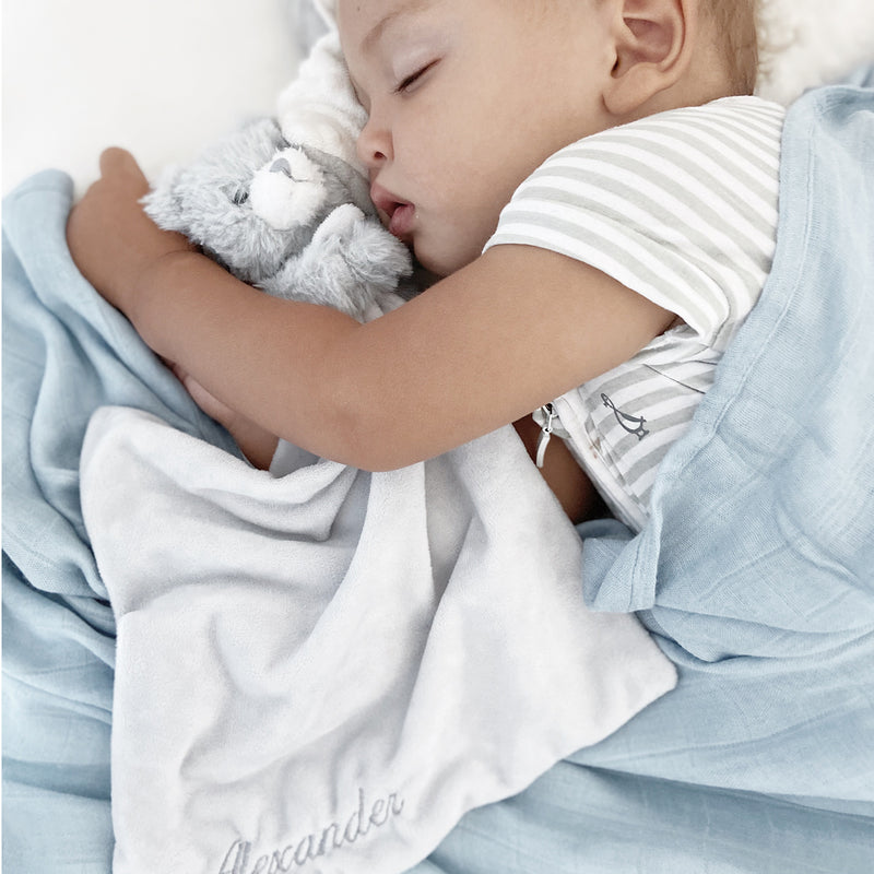Timeless Teddy Security Blanket